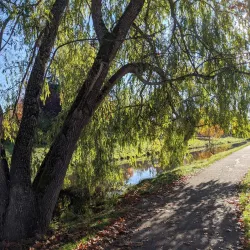 Periwinkle Creek Trail - Albany