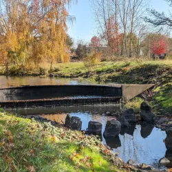 Periwinkle Creek Trail - Albany