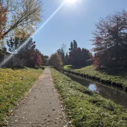 Periwinkle Creek Trail - Albany