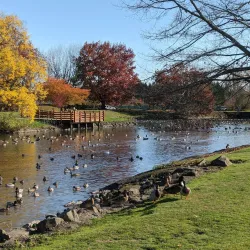 Periwinkle Creek Trail - Albany