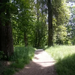 Takena Landing Park - Albany