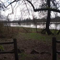 Takena Landing Park - Albany