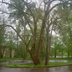 Takena Landing Park - Albany