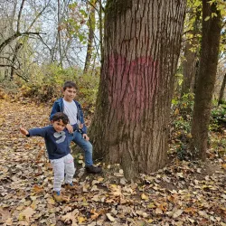 Takena Landing Park - Albany