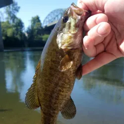 Takena Landing Park - Albany