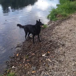 Takena Landing Park - Albany