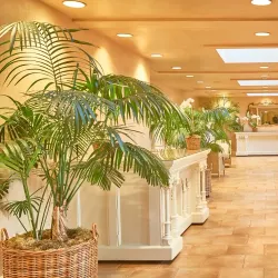 Ashland Springs Hotel - Ashland