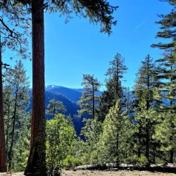 Lithia Park - Ashland