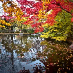 Lithia Park - Ashland