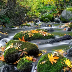 Lithia Park - Ashland