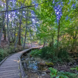 Lithia Park - Ashland