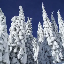Mount Ashland Ski Area - Ashland