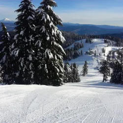 Mount Ashland Ski Area - Ashland
