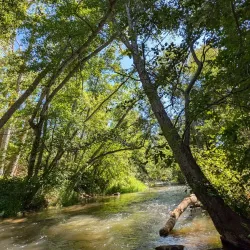 North Mountain Park - Ashland