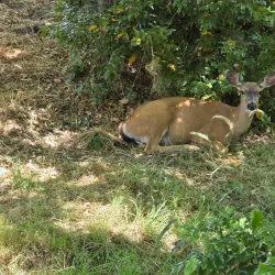North Mountain Park - Ashland