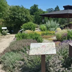 North Mountain Park - Ashland