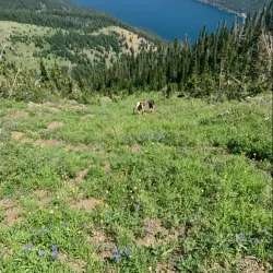 Eagle Cap Wilderness - Baker City