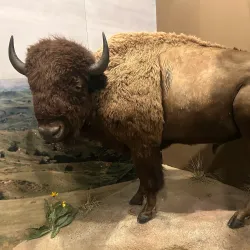 Oregon Trail Interpretive Center - Baker City