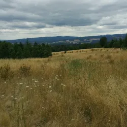 Cooper Mountain Nature Park - Beaverton