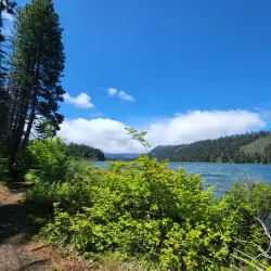 Deschutes National Forest - Bend