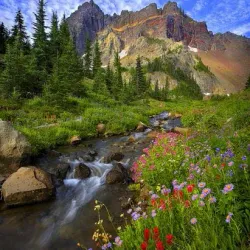 Deschutes National Forest - Bend