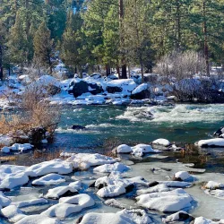 Deschutes River Trail - Bend