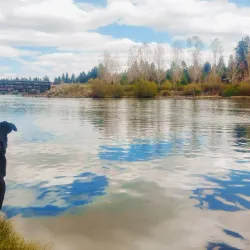 Deschutes River Trail - Bend