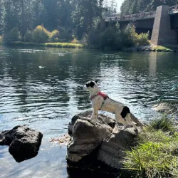 Deschutes River Trail - Bend