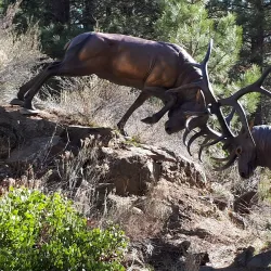High Desert Museum - Bend