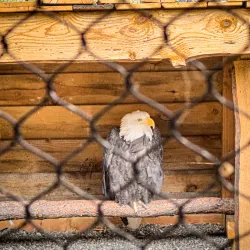High Desert Museum - Bend