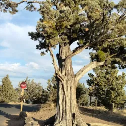 Pilot Butte State Scenic Viewpoint - Bend