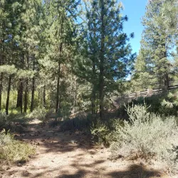 Shevlin Park - Bend