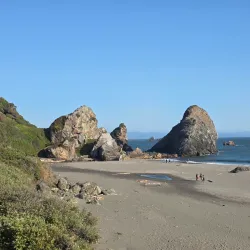 Harris Beach State Park - Brookings