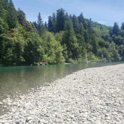 Loeb State Park Campground - Brookings