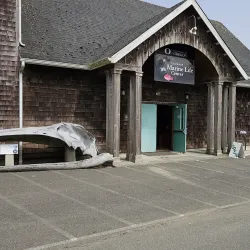 Bayshore Discovery Center - Coos Bay