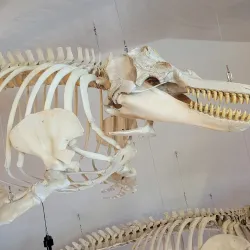 Bayshore Discovery Center - Coos Bay