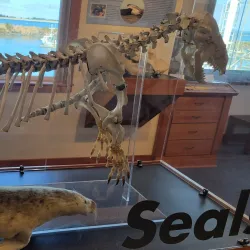 Bayshore Discovery Center - Coos Bay