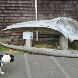 Bayshore Discovery Center - Coos Bay