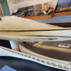 Bayshore Discovery Center - Coos Bay