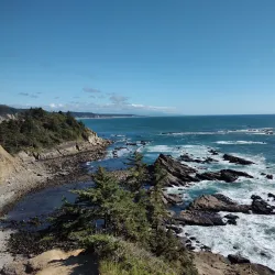 Cape Arago State Park - Coos Bay