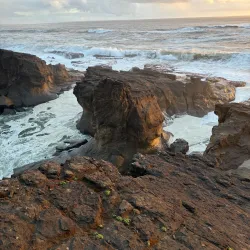 Cape Arago State Park - Coos Bay