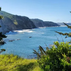 Cape Arago State Park - Coos Bay