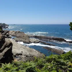 Cape Arago State Park - Coos Bay