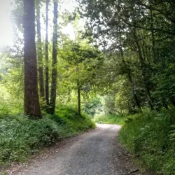 Myrtle Point Wildlife Area - Coos Bay