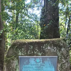 Myrtle Point Wildlife Area - Coos Bay