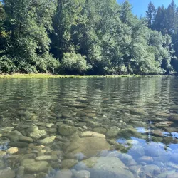 Myrtle Point Wildlife Area - Coos Bay