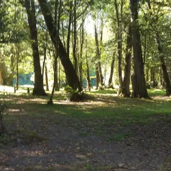 Myrtle Point Wildlife Area - Coos Bay