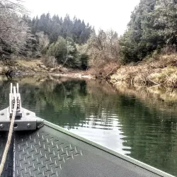 Myrtle Point Wildlife Area - Coos Bay