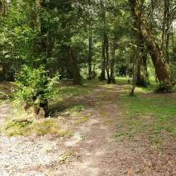 Myrtle Point Wildlife Area - Coos Bay