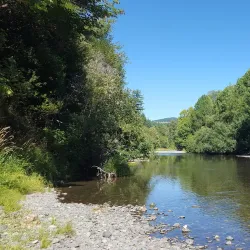 Myrtle Point Wildlife Area - Coos Bay